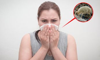 Alergia a los ácaros del polvo: síntomas y medidas preventivas