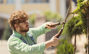¿Cómo evitar los riesgos laborales en trabajos de jardinería?