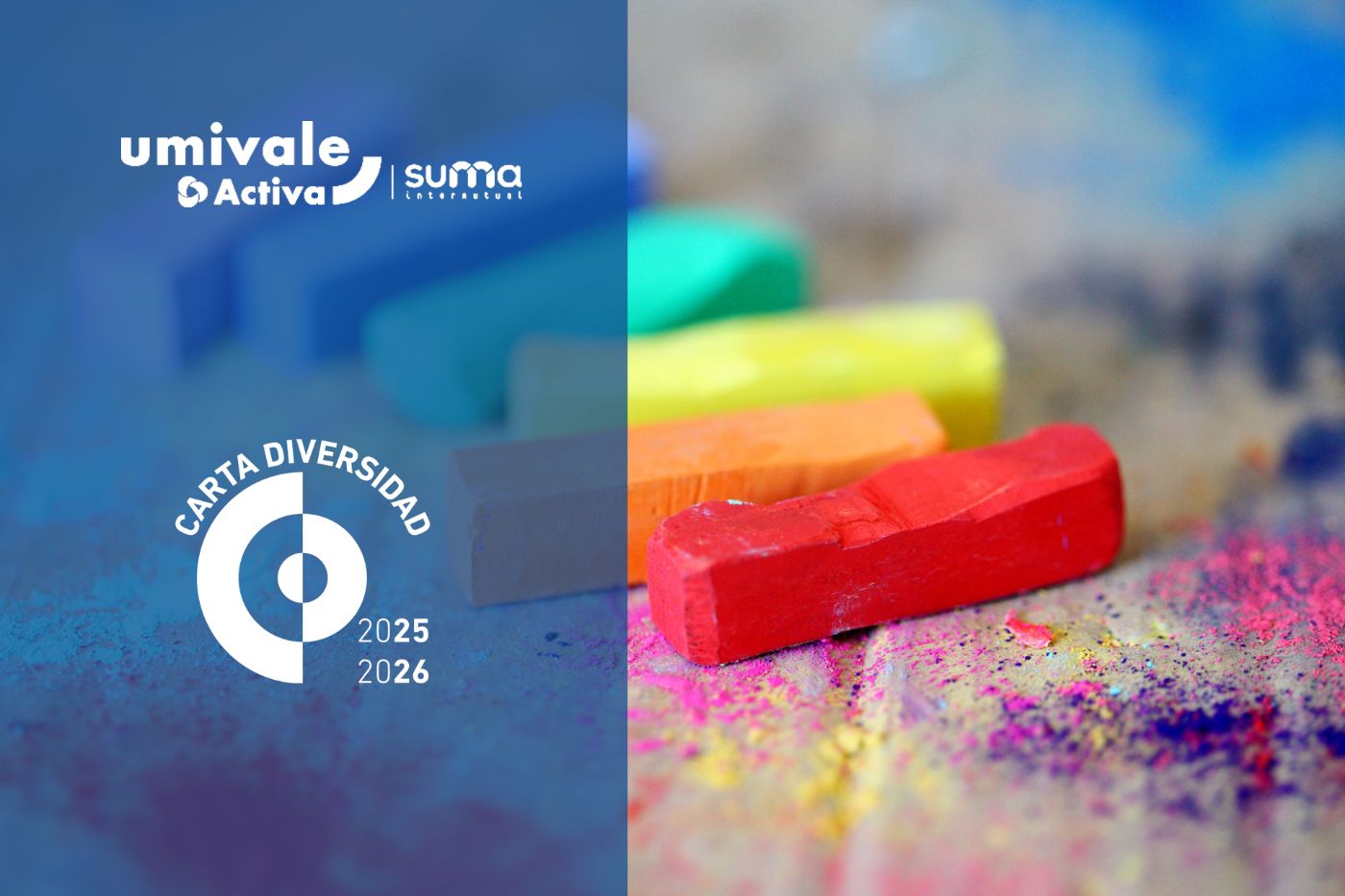 Renovación carta diversidad 2025