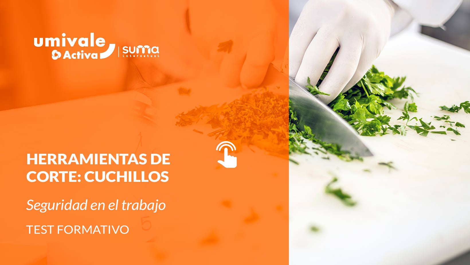 Persona cortando con un cuchillo de cocina
