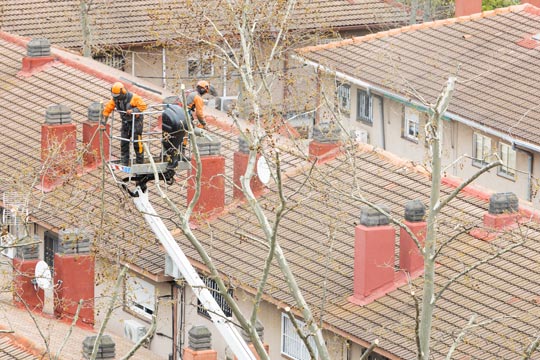 Dos personas trabajadoras en una carretilla elevadora podando las ramas altas de un árbol en una zona residencial de la ciudad